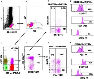 Steroid Resistant CD8+CD28null NKT-Like Pro-inflammatory Cytotoxic Cells in Chronic Obstructive Pulmonary Disease